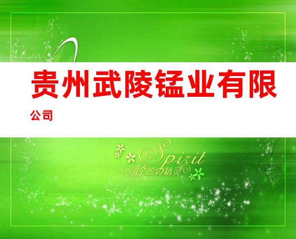 贵州武陵锰业有限公司
